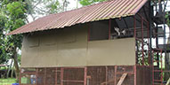 Our Cattery