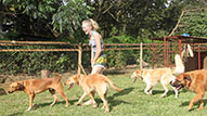 Kya helping with the Kennels